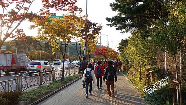 首爾紫芒草慶典서울억새축제天空公園하늘공원0007.jpg 首爾紫芒草慶典서울억새축제天空公園하늘공원0007.jpg