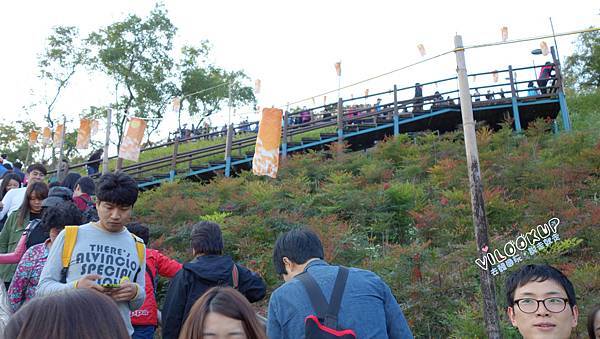 首爾紫芒草慶典서울억새축제天空公園하늘공원0019.jpg 首爾紫芒草慶典서울억새축제天空公園하늘공원0019.jpg