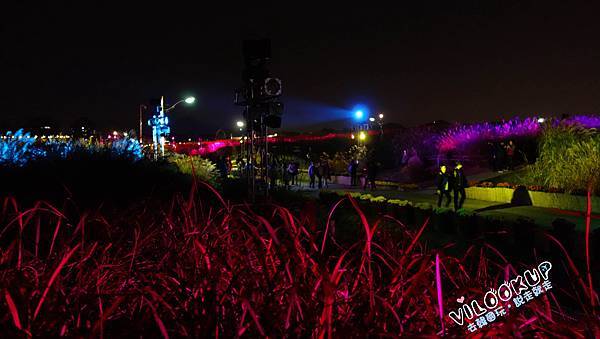 首爾紫芒草慶典서울억새축제天空公園하늘공원0063.jpg 首爾紫芒草慶典서울억새축제天空公園하늘공원0063.jpg