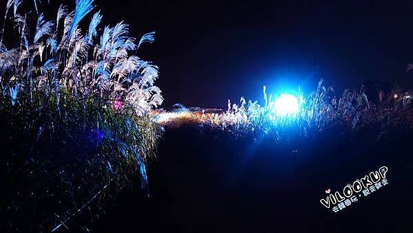 首爾紫芒草慶典서울억새축제天空公園하늘공원0066.jpg 首爾紫芒草慶典서울억새축제天空公園하늘공원0066.jpg