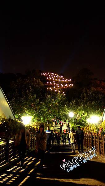 首爾紫芒草慶典서울억새축제天空公園하늘공원z型樓梯夜景.jpg