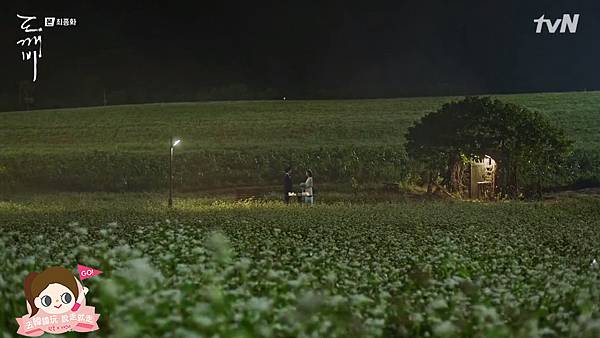 ep16孤獨又燦爛的神鬼怪場景蕎麥花田2.jpg