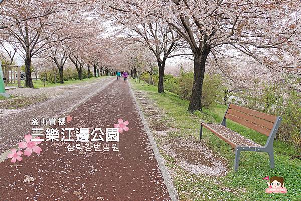 釜山沙上掛法站韓國賞櫻三樂江邊公園삼락강변공원.jpg