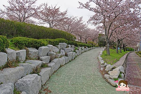 釜山沙上掛法站韓國賞櫻三樂江邊公園삼락강변공원016.jpg 釜山沙上掛法站韓國賞櫻三樂江邊公園삼락강변공원016.jpg
