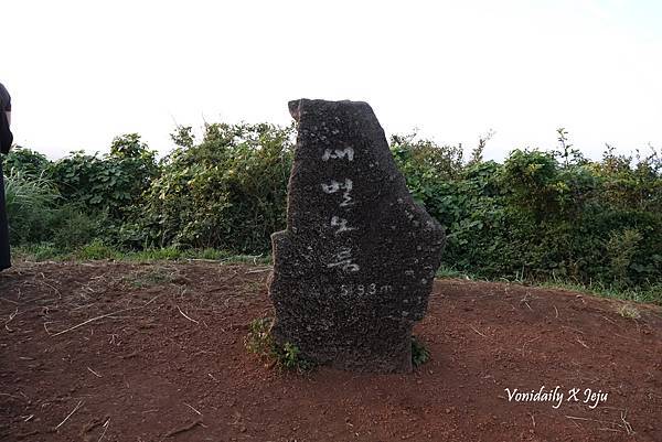 曉星岳極美日落與孤獨的樹 새별오름 (29).jpg