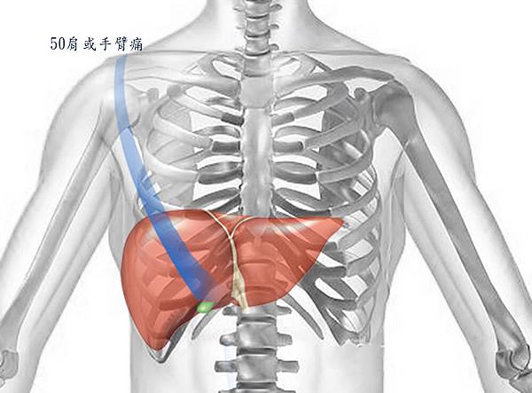 50肩冷凍肩五十肩