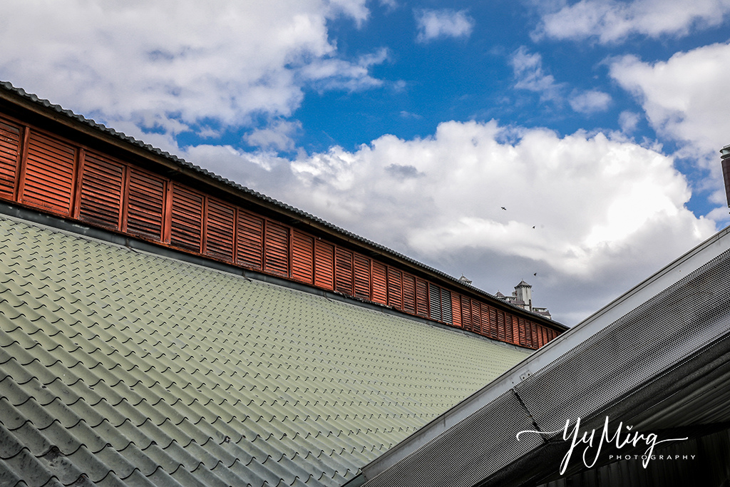 20201111華山 (2).jpg