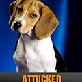 ATTUCKER