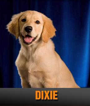 DIXIE