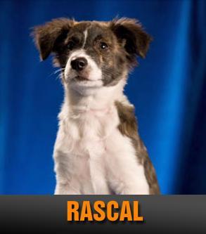 RASCAL