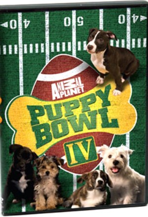 Puppy Bowl 4