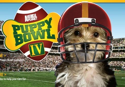 Puppy Bowl 4