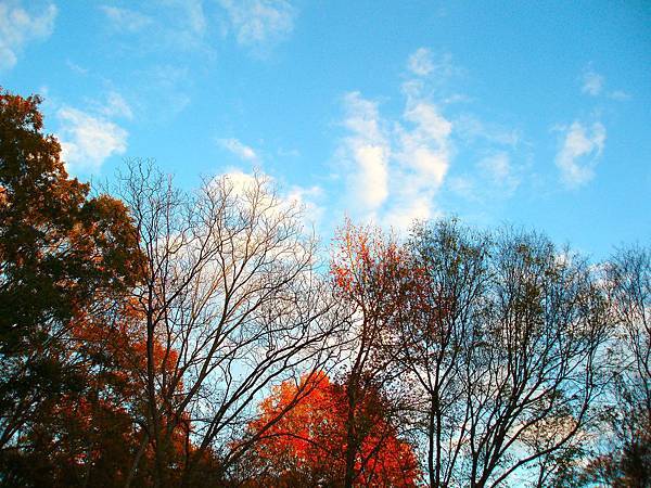 Autumn sky.jpg