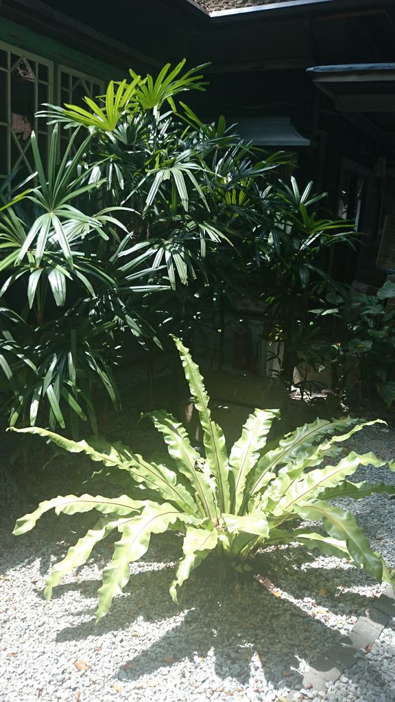 2014-09-02 11.33.34.jpg