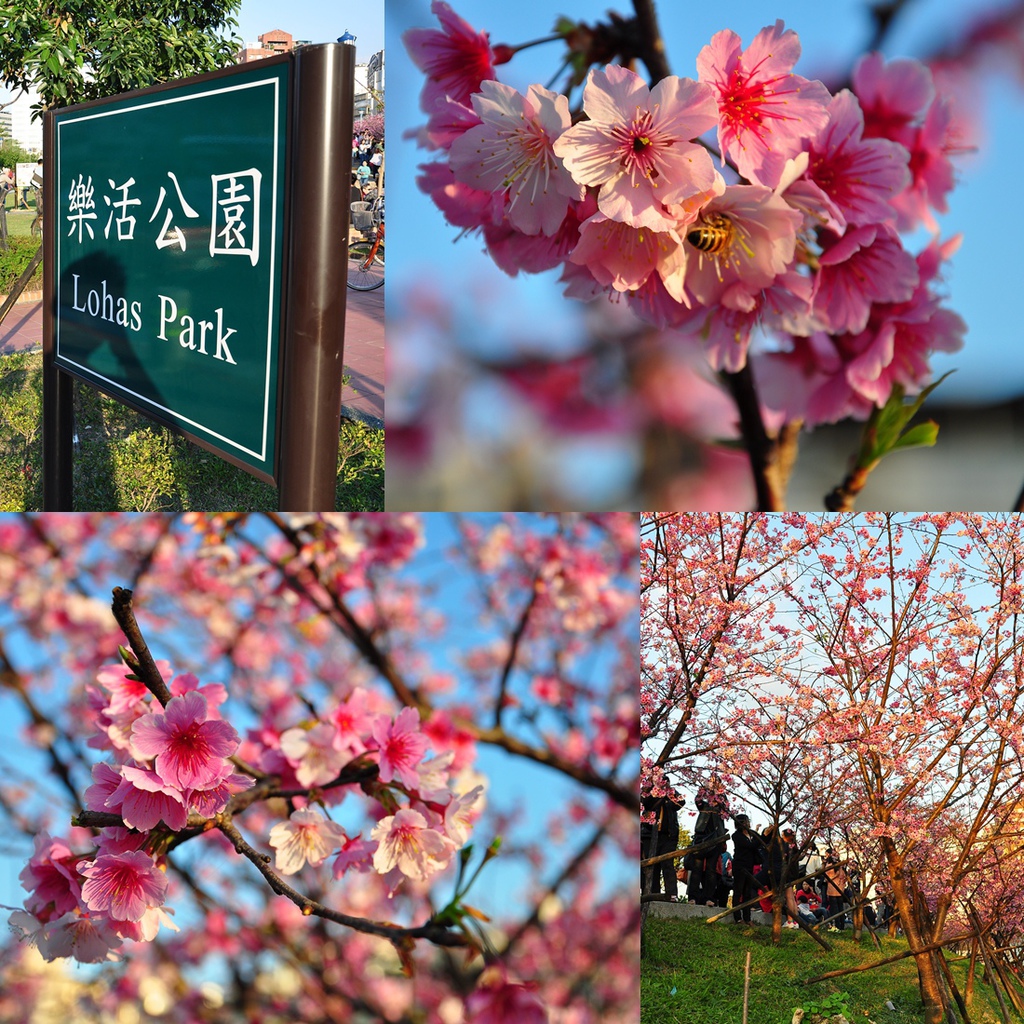 樂活公園 tittle.jpg 樂活公園 tittle.jpg