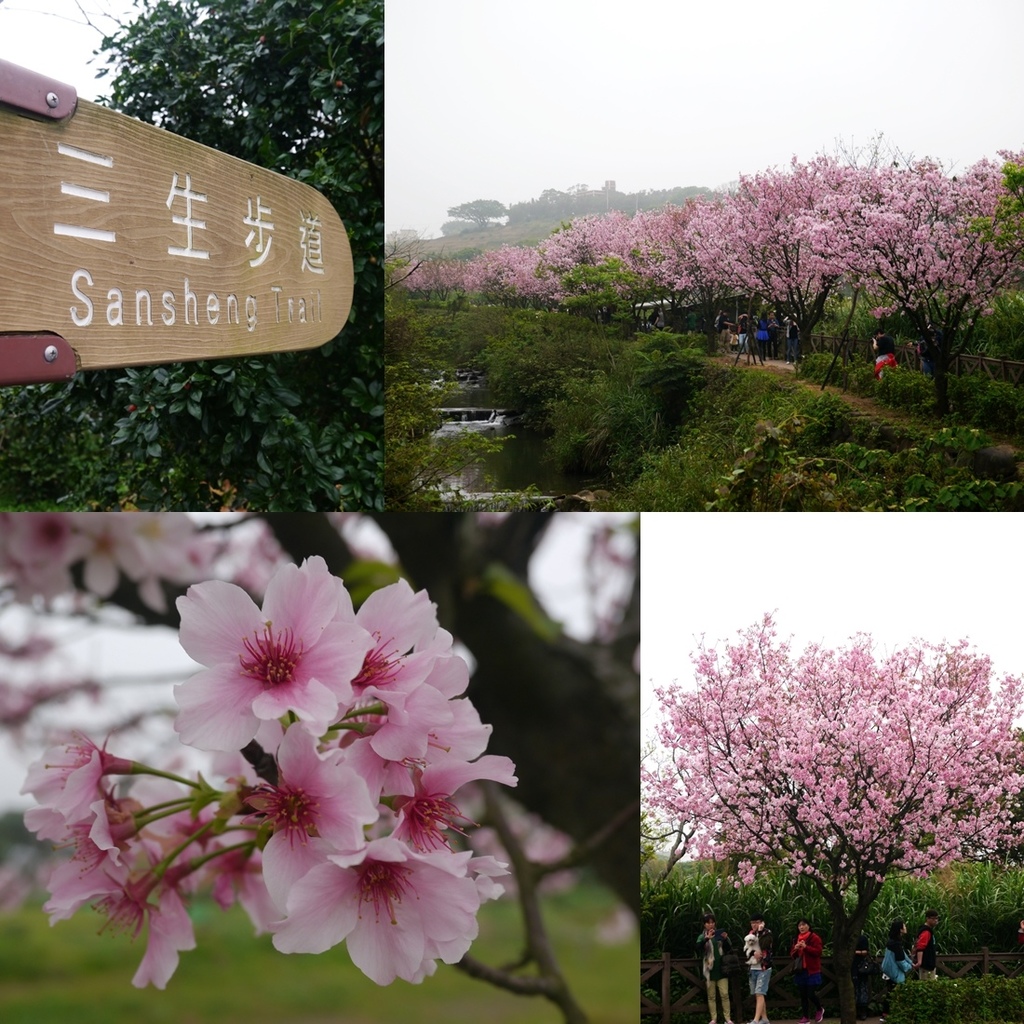 三生步道 title.jpg 三生步道 title.jpg