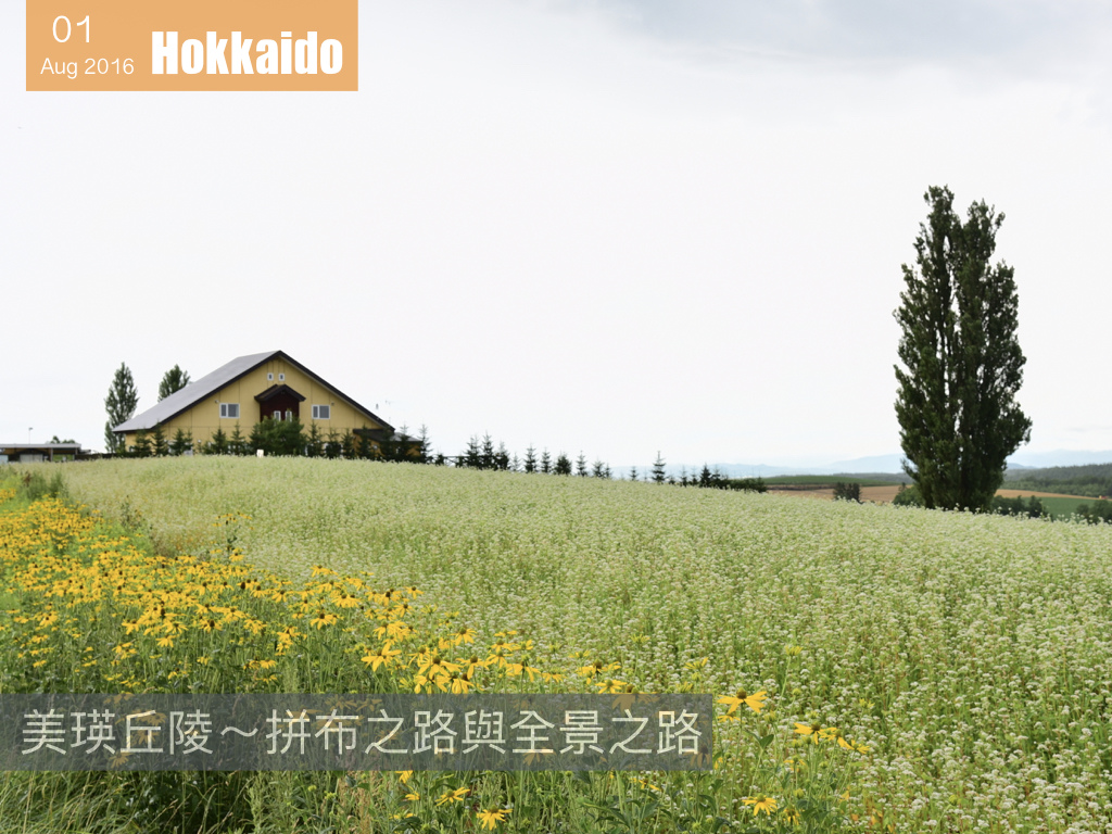 夏日花見北海道 .002.jpeg 夏日花見北海道 .002.jpeg