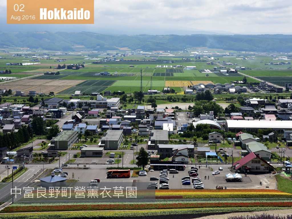 夏日花見北海道 .001.jpeg 夏日花見北海道 .001.jpeg