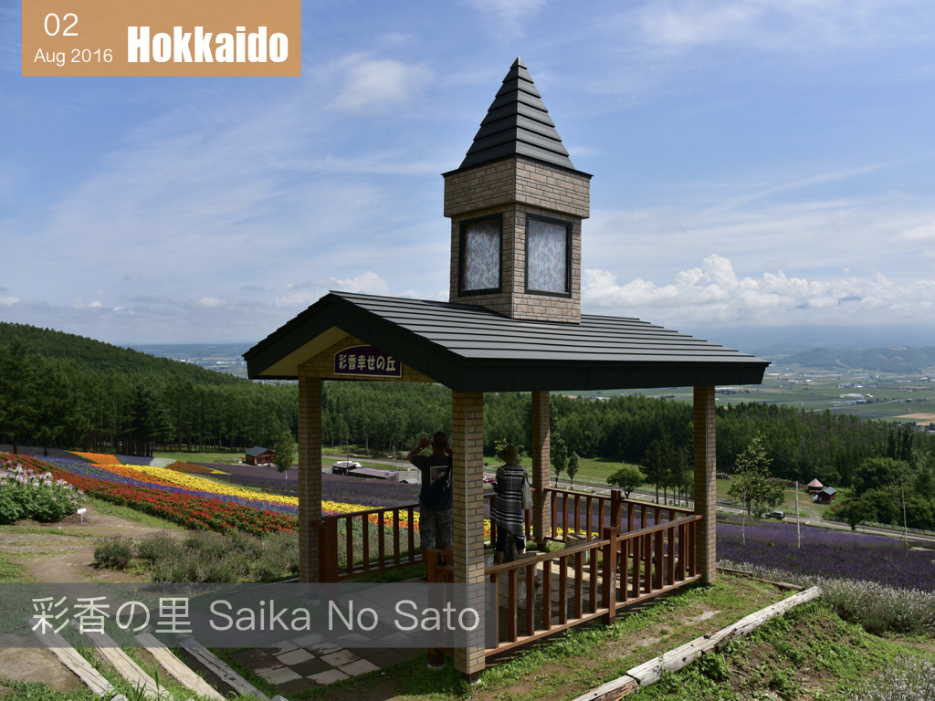 夏日花見北海道 .002.jpeg 夏日花見北海道 .002.jpeg