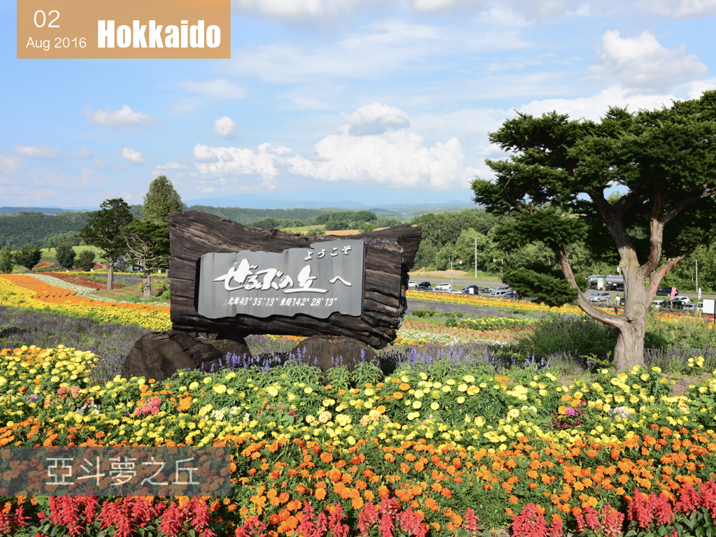 夏日花見北海道 .005.jpeg 夏日花見北海道 .005.jpeg