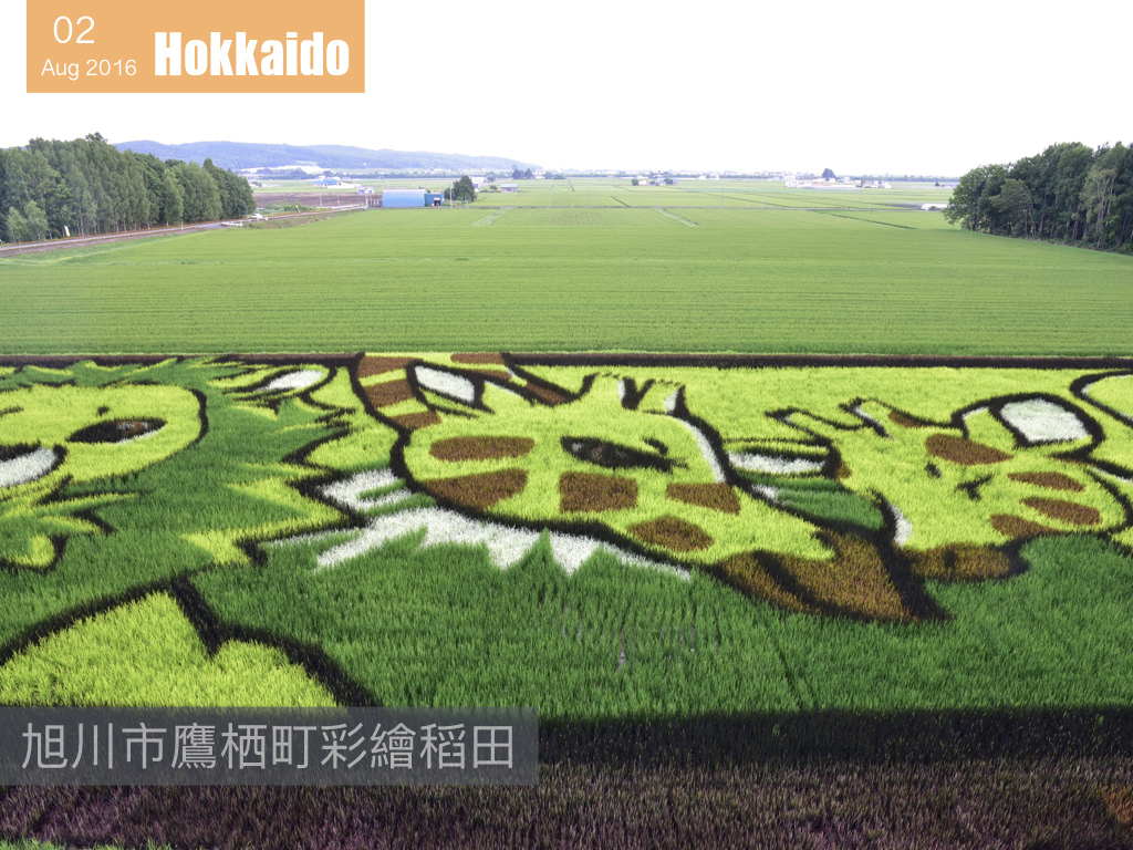 夏日花見北海道 .006.jpeg 夏日花見北海道 .006.jpeg