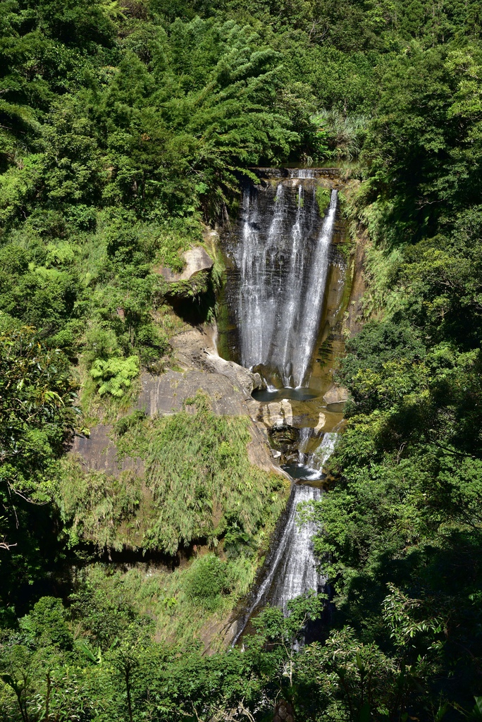 ä¸è²å¶ºçå¸ç¾¤æ¥é 26.jpg