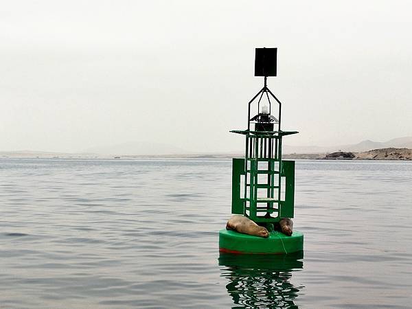 祕魯-30年的黃金歲月, 巴勒斯塔斯群島（鳥島）