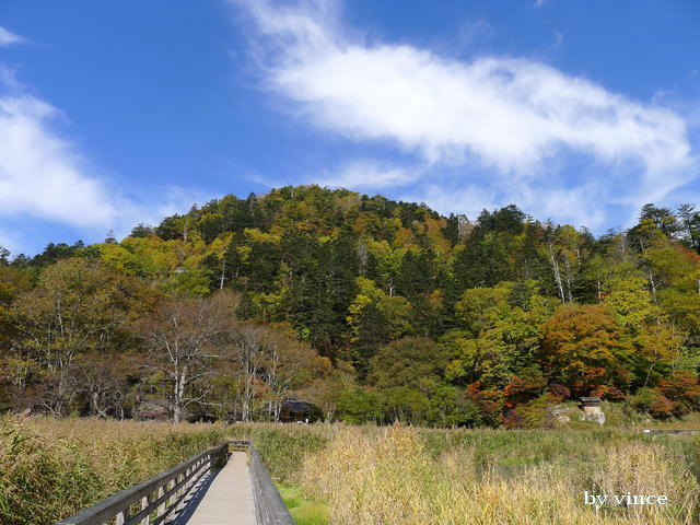 奧日光 紅葉