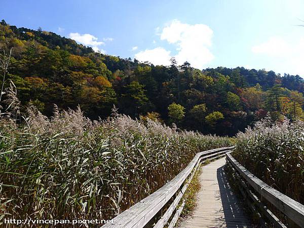 湯元溫泉源頭 步道