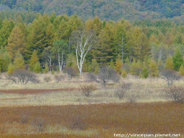 10年秋日光day 4 2 龍頭瀑布 華嚴瀑布 Vincent 的旅行筆記 痞客邦