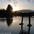 金鱗湖  鳥居 夕陽