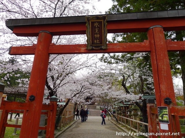 冰室神社 鳥居