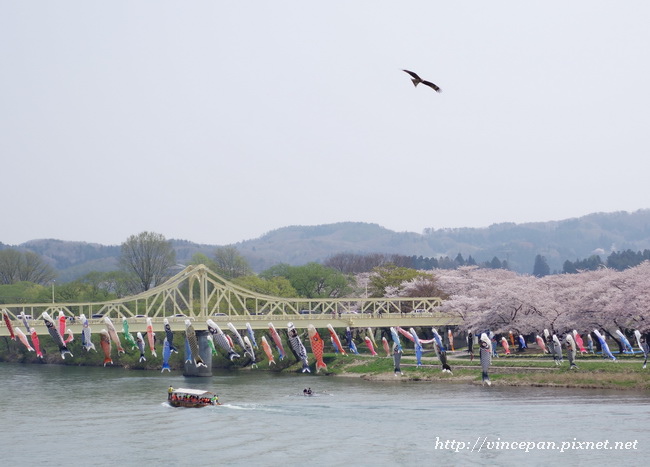 珊瑚橋