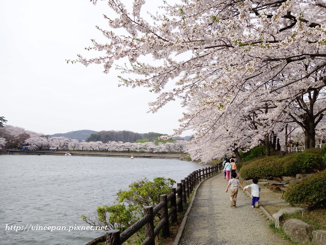 池畔步道1