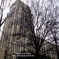 Atlanta City Hall tree