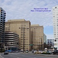 Buckhead馬路2