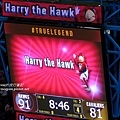 Harry the Hawk1