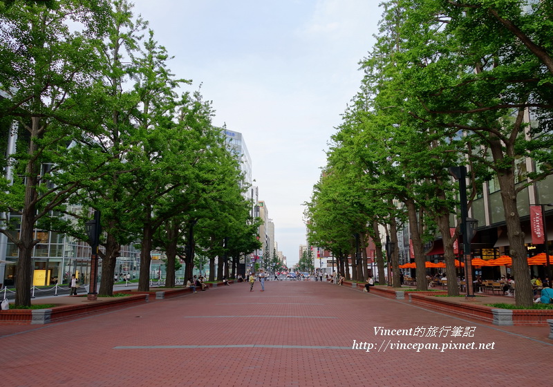 銀杏 道路