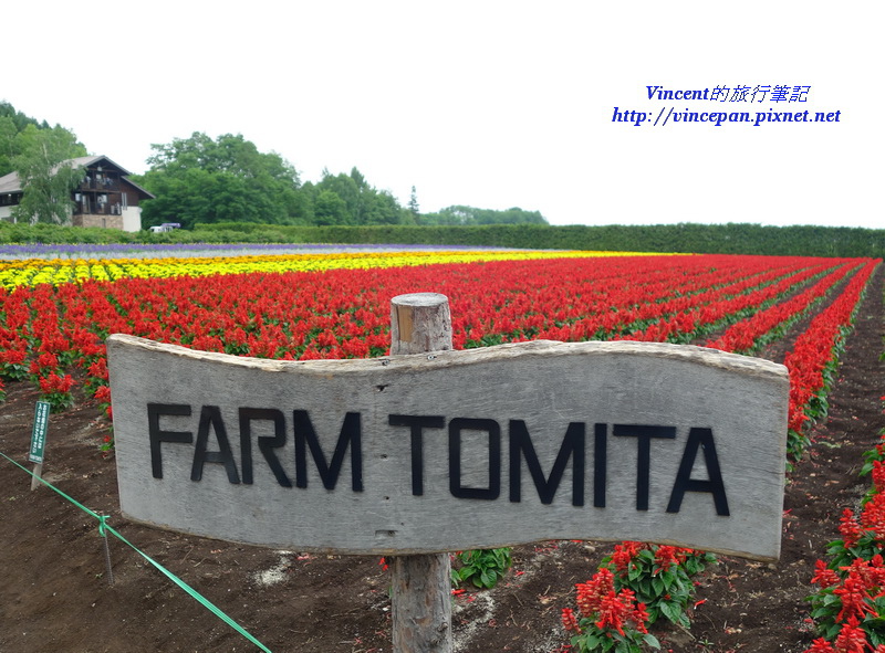 FARM TOMITA