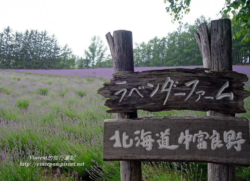 傳統薰衣草花田 立牌2