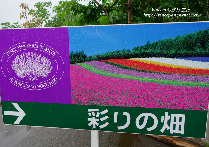 彩色花田 指標