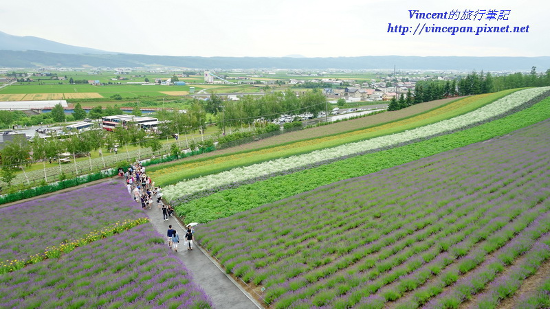 觀景台一覽彩色花田1