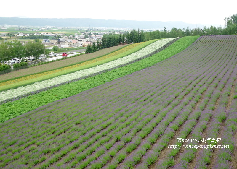 觀景台一覽彩色花田2