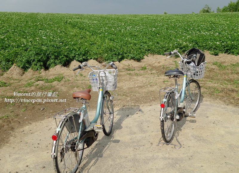 馬鈴薯花田 單車