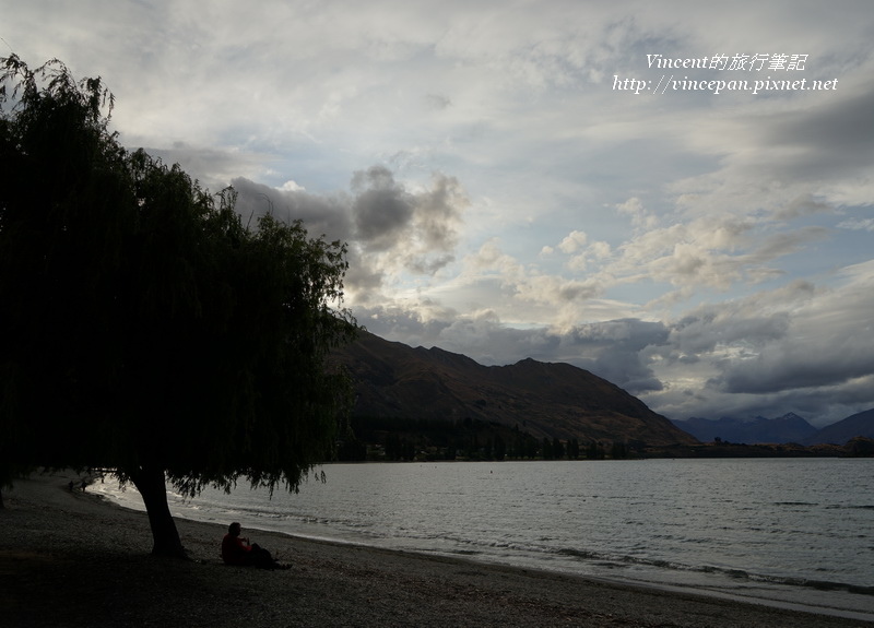 Lake Wanaka tree