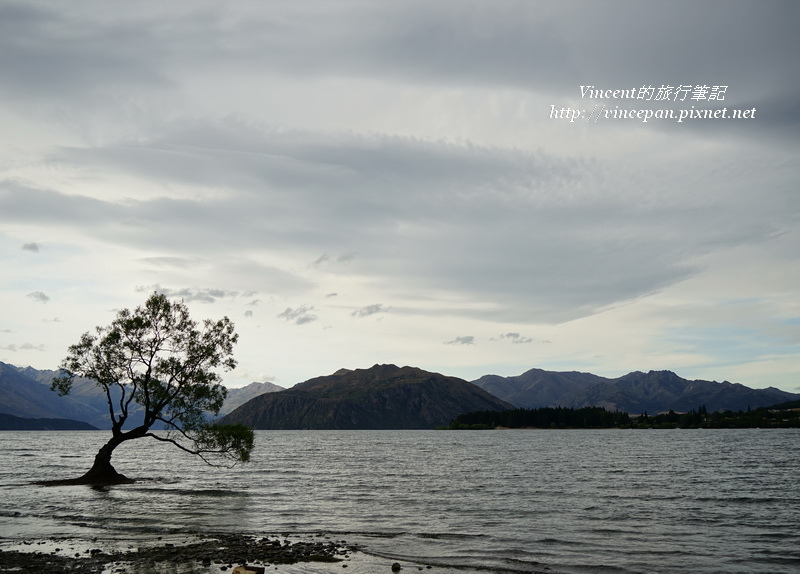 Lone Tree of Lake Wanaka 2