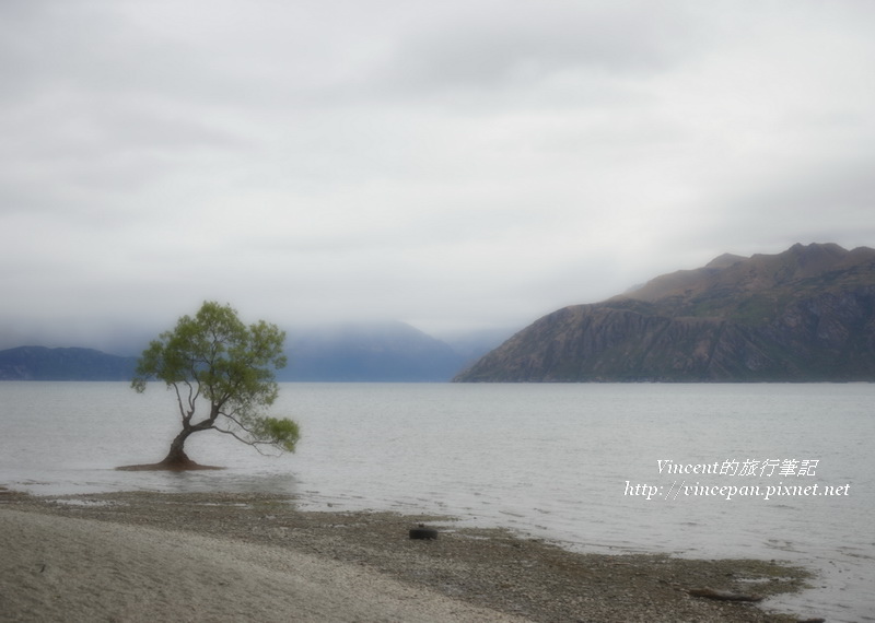 Lone Tree of Lake Wanaka morning2