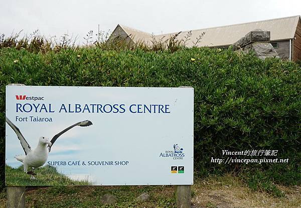 Royal Albatross Centre