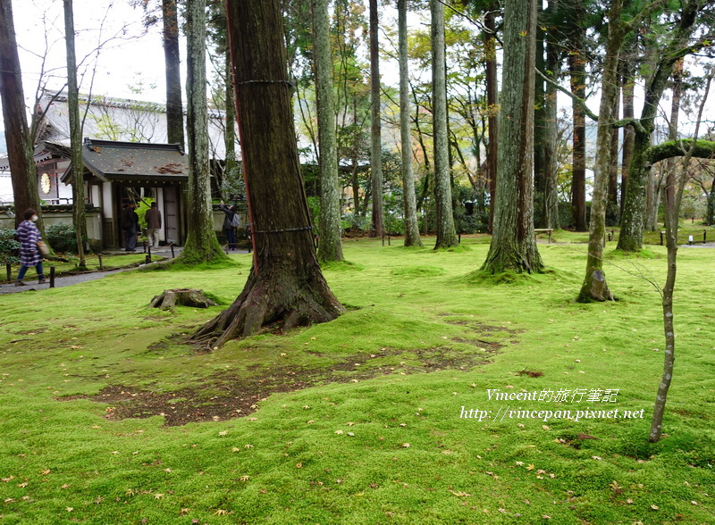 青苔園區2