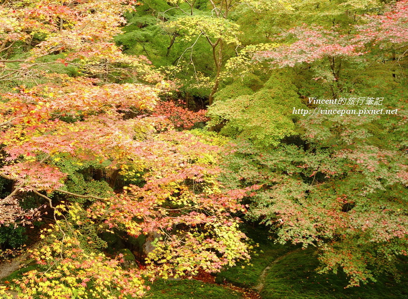 瑠璃光院紅葉1